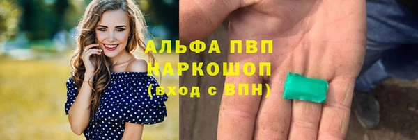 ешки Алзамай