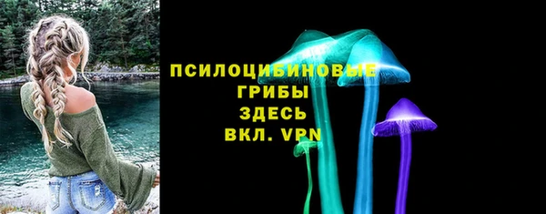 ешки Алзамай