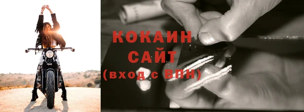 молекула духа Осташков