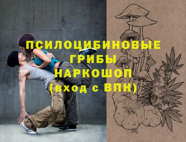 крисы Алексеевка
