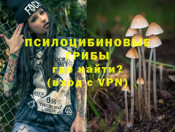 ешки Алзамай